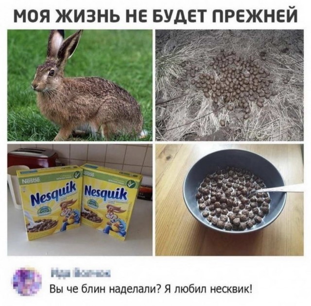 Картинки и мемы для настроения 09.06.2021