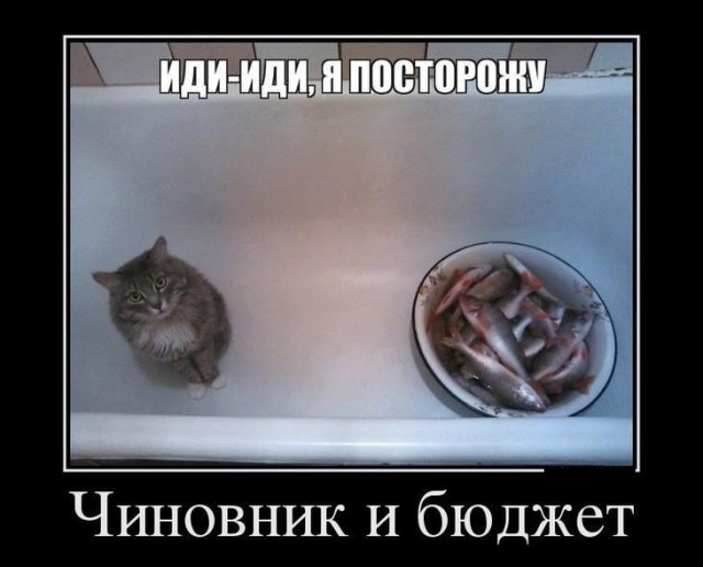 Так себе картинки 06.10.21
