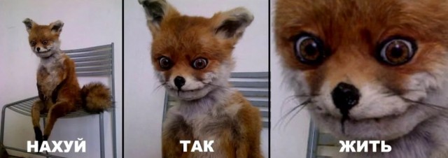 Прачечная. Тель Авив