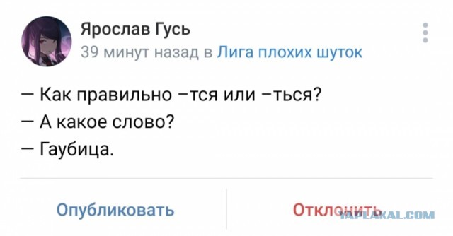 Утренняя подборка картинок и мемов - 2