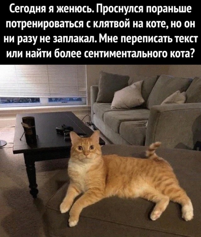 Немного картинок для настроения - 112