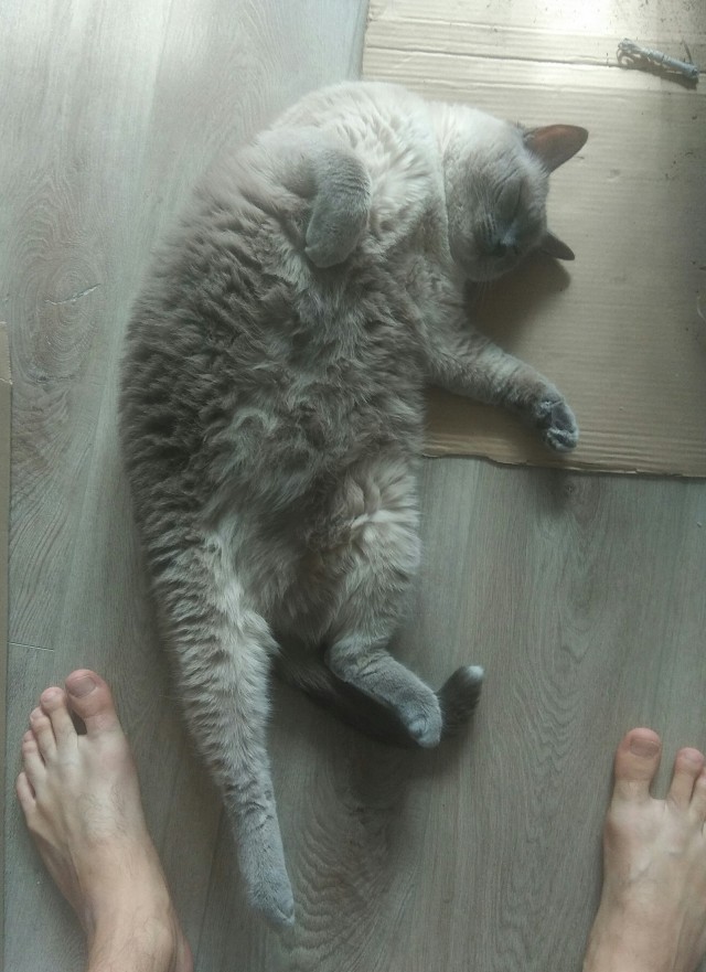 Как я стал рабом дважды