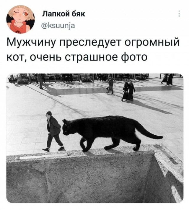 Картинки и мемы. Выходные близко...