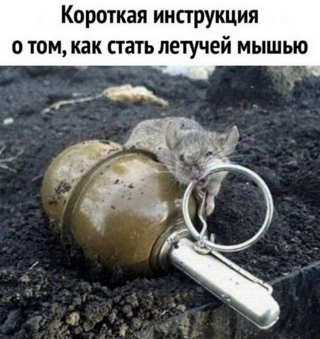 Прикольные и просто красивые картинки 15.11.22