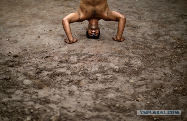 Школа индийской борьбы Кушти