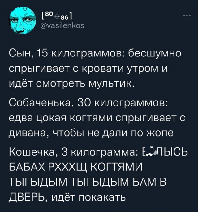 Скриншоты и комментарии из социальных сетей 06.01.23