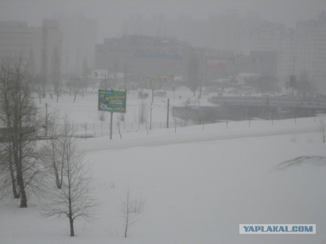 23 марта. Киев. Весна.