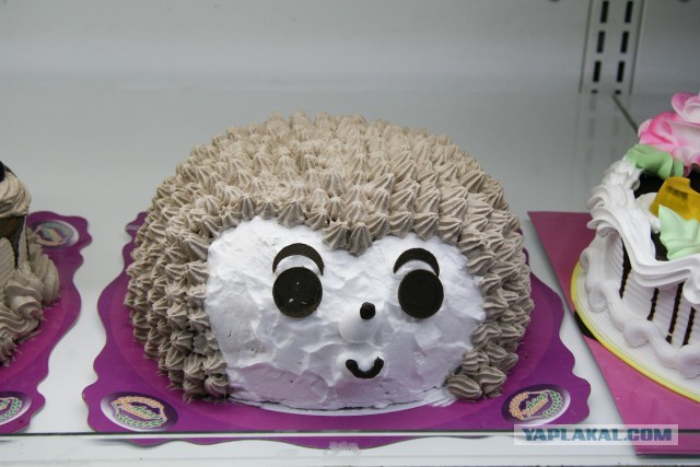 В Монголию на мотоциклах 2006