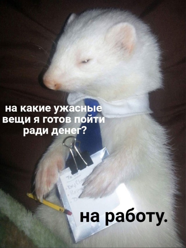 Немного картинок для настроения - 155
