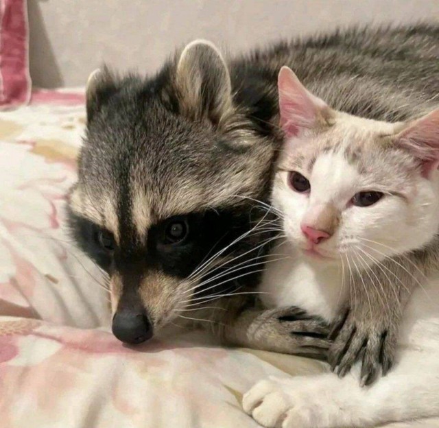 Подборка интересных и прикольных фото из Сети 01.04.23