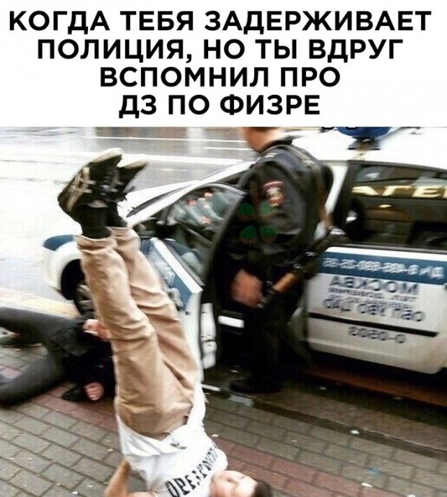 Картинки и мемы для настроения - 137