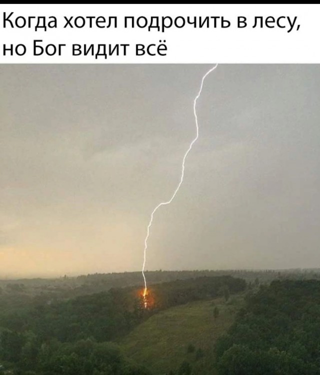 Муж и жена - одна шаурма