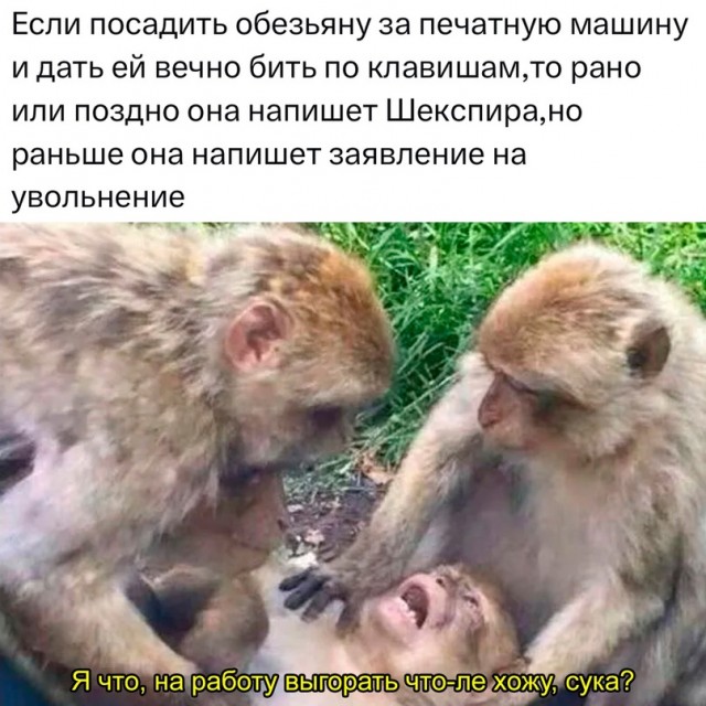 Немного картинок для настроения - 177