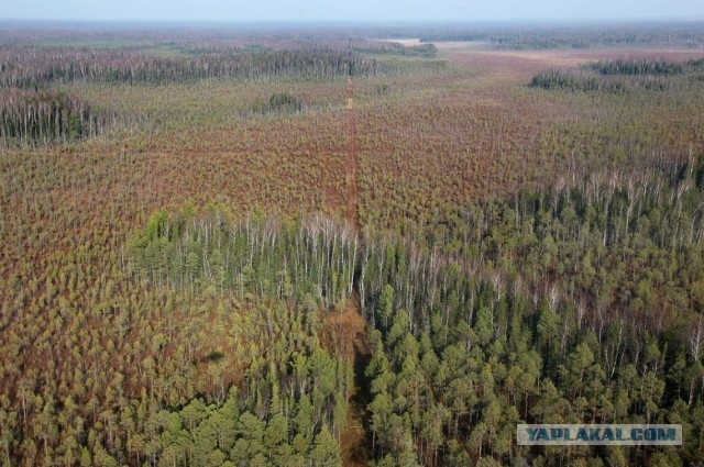 Сибирские перекрёстки
