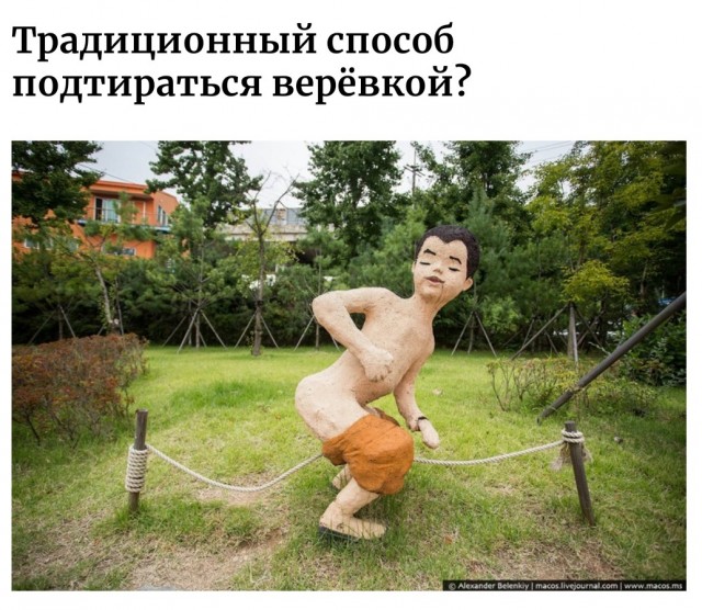 Мыть или протирать