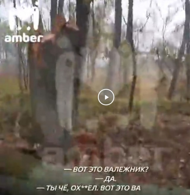 — Ты какого х*я дубы пилишь, дебил, бл*ть? — Это валежник... Да, он валяется. — После твоей бензопилы он валяется?