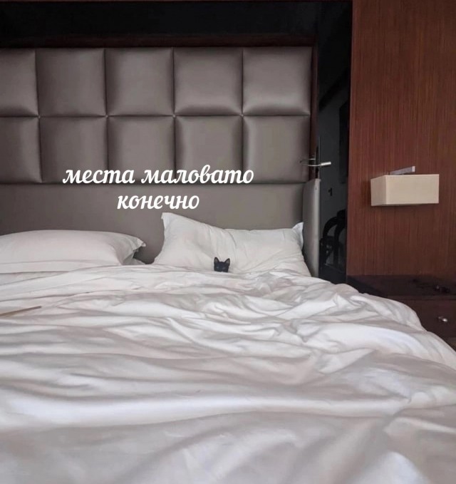 Всего понемногу. От 17.11.23