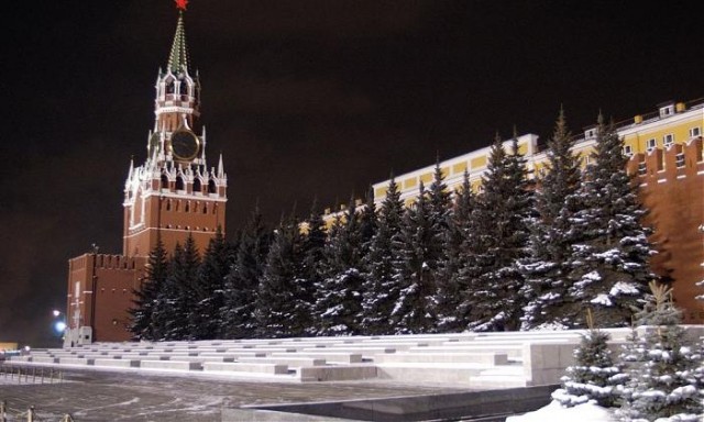 Чиновники Ардатова, несмотря на сопротивление жительницы, спили и забрали ель, которую сажал её отец