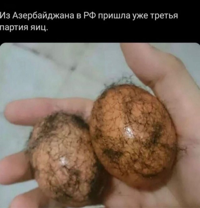 «Мы им помогаем, но им все мало»