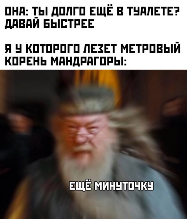 Всего понемногу. От 17.01.24