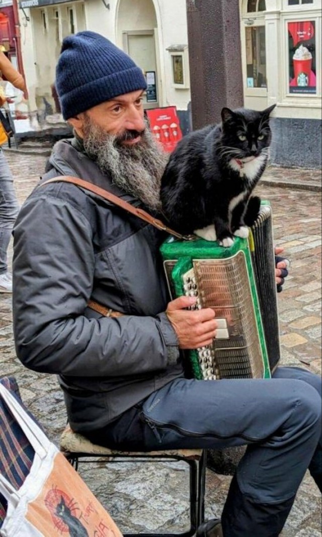 ФотоВинигрет  52 пикчи