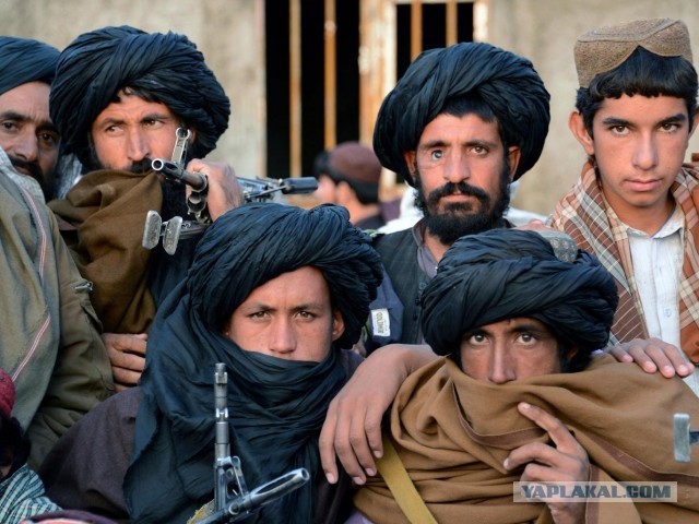 МИД РФ и Минюст думают об исключении «Талибана»* из списка террористов
