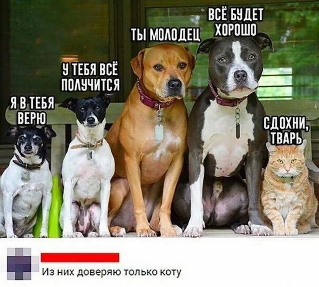 Прикольные и просто красивые картинки 06.09.2024