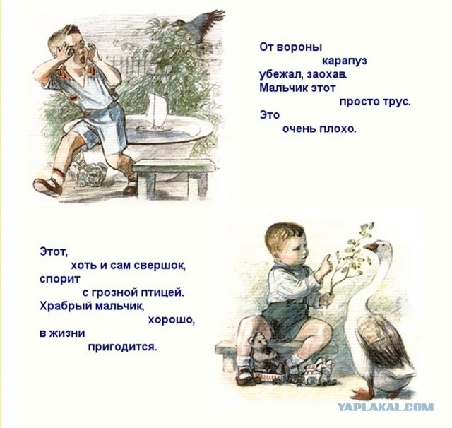 Завалялось тут случайно немного забавных картинок