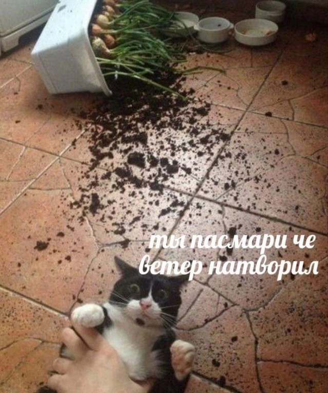 Всего понемногу. От 25.11.2024