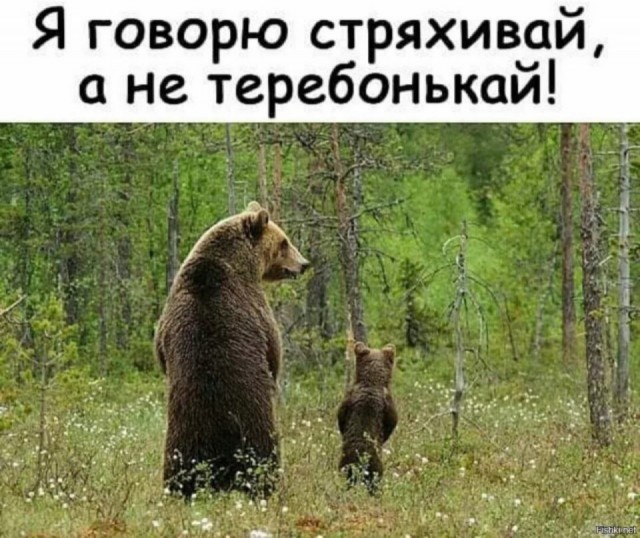 Так себе картинки   "Финал"