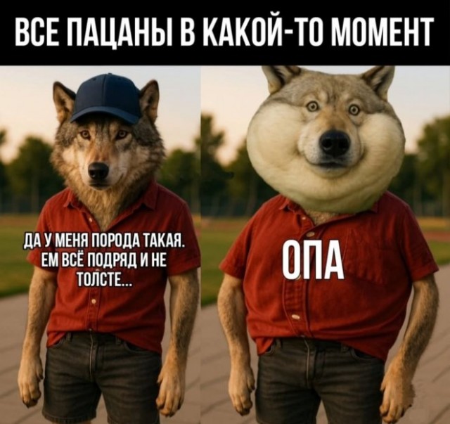 Веселые картинки в первый день июля (01.07)