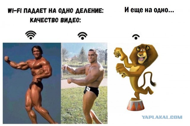 Картинки для деградации 37 (разной степени свежести)