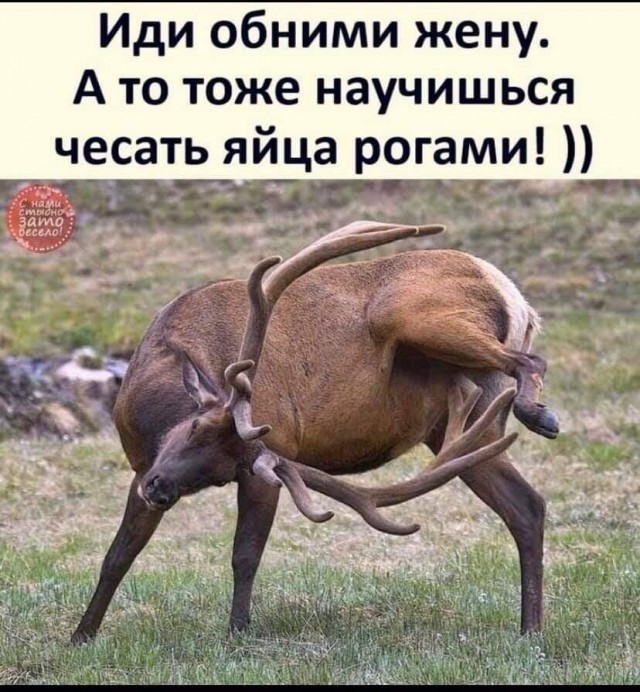 Еще только вторник …