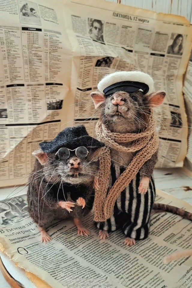 Прикольные и просто красивые картинки 13.02.2026