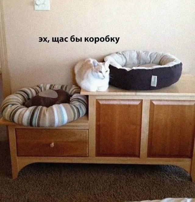 Так себе картинки 15.05.26