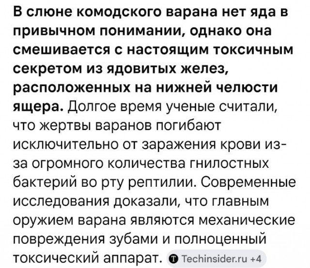 Варан и шавки