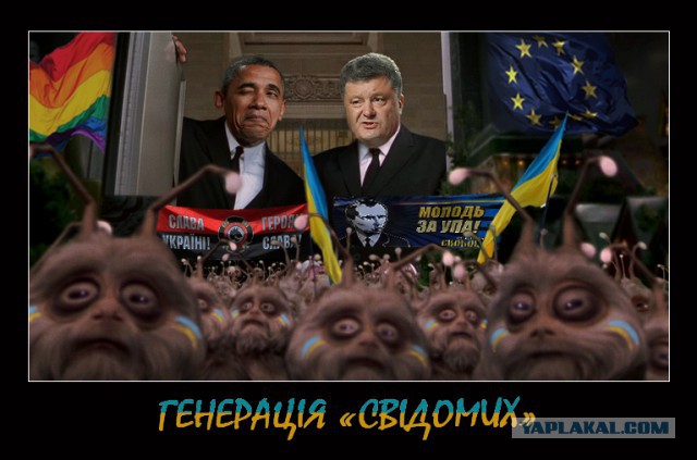 На злобу дня