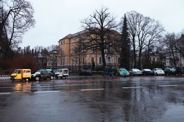 Фото с митинга в Мюнхене