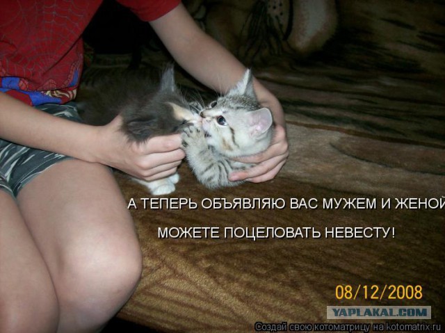 Есть ли шанс выйти замуж у девушки с ребенком?