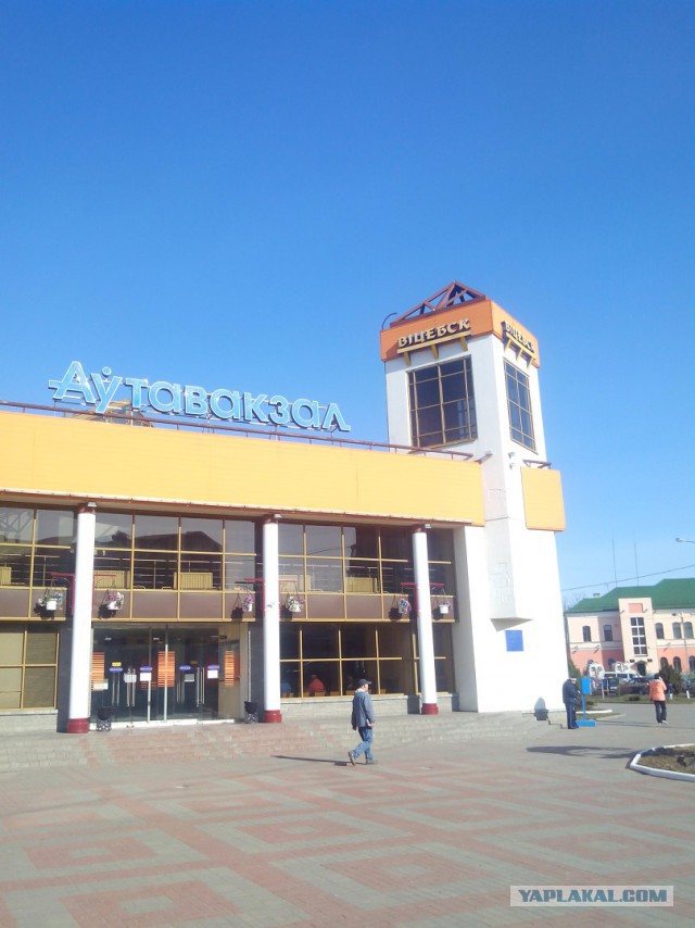 Миграция московского планктона