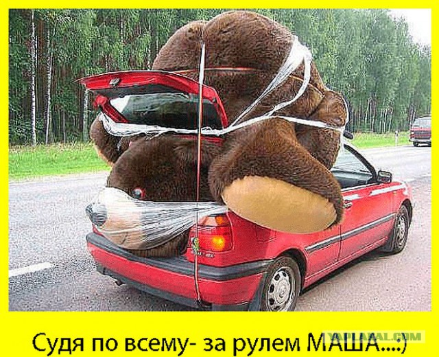 Автоприколы