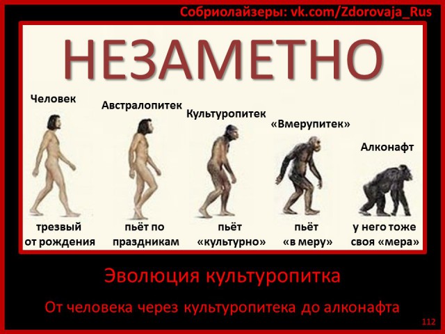 Как бухать незаметно