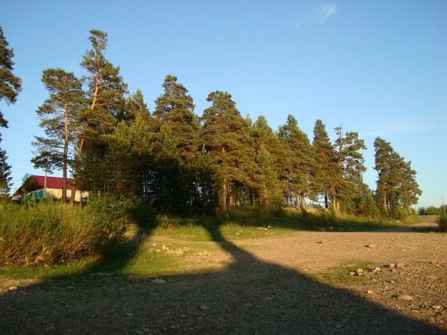 Небольшая дверь в Лето!