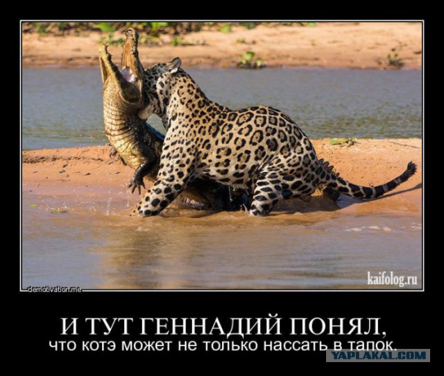 Авторитет использует "петуха" по назначению, видео!