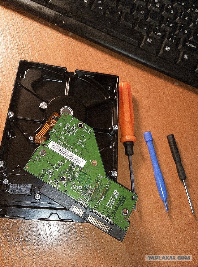 Жесткие диски WD