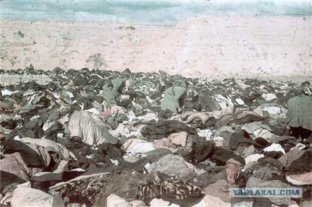 http://s00.yaplakal.com/pics/pics_preview/1/4/4/7606441.jpg