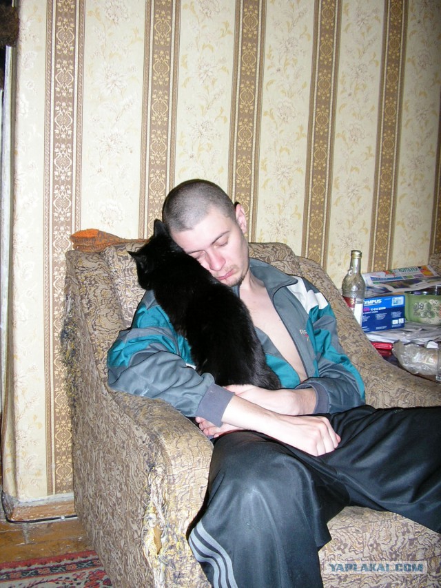Смелые ЯПовцы.