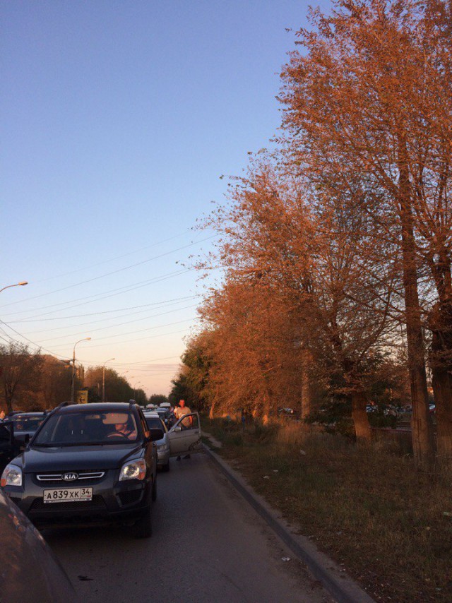 ВВП приехал в Волгоград, заберите его уже скорей