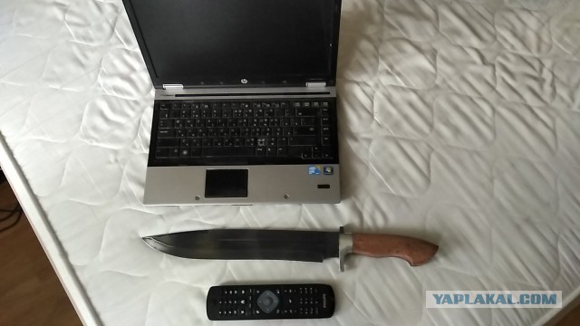 Продам Пчаки