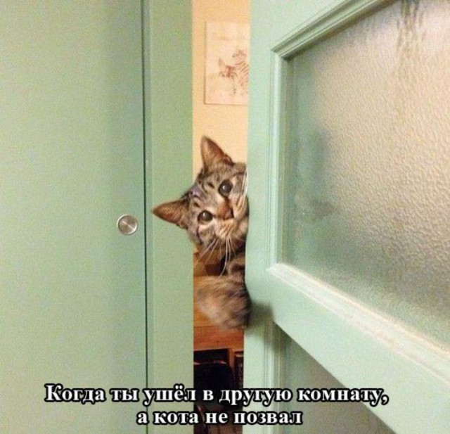 Приколюхи в стиле "Когда..."